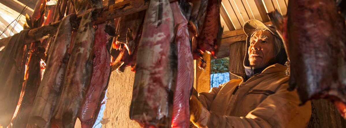 Elder - Fish Camp Photo of an elder drying fish